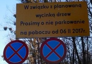 Zdjęcie 1. „W związku z planowaną wycinką drzew Prosimy o nie parkowanie na poboczu od 06 II 2017r.”